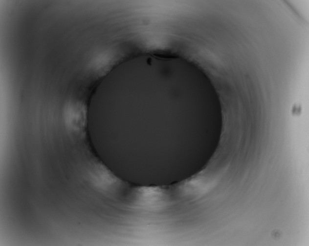 X0000103130528200809191944