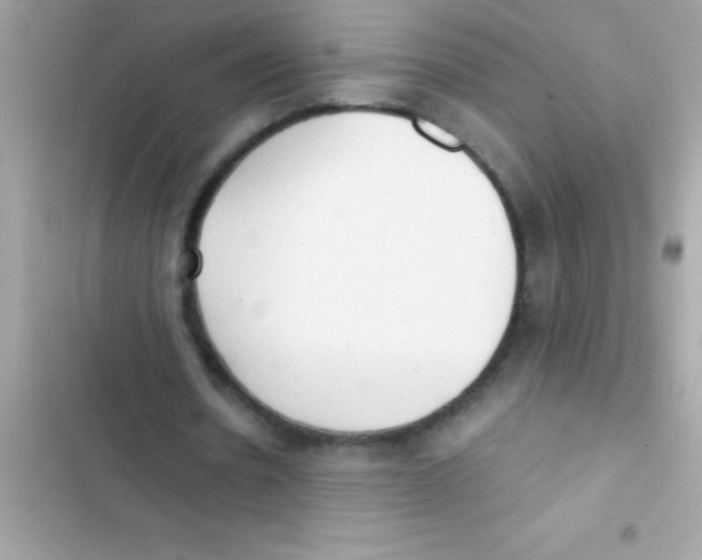 X0000103130530200809191943