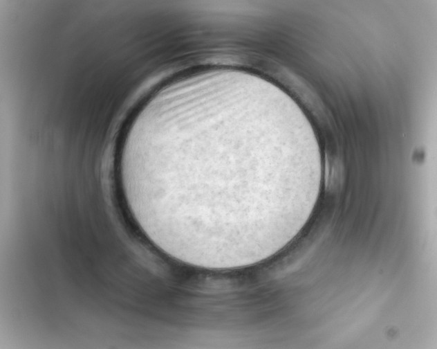 X0000103130531200809191943