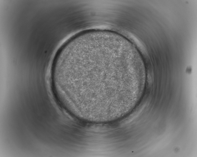 X0000103130532200809191943