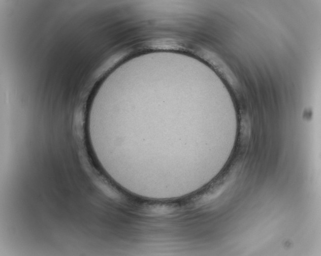 X0000103130533200809191943