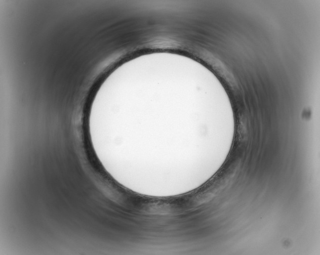 X0000103130535200809191943