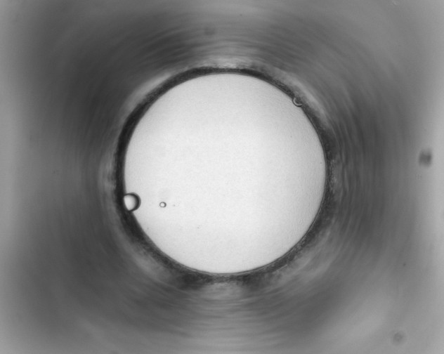 X0000103130536200809191943