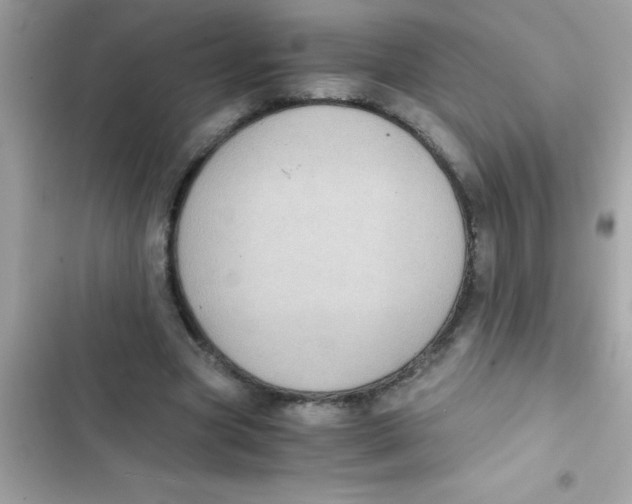 X0000103130537200809191943