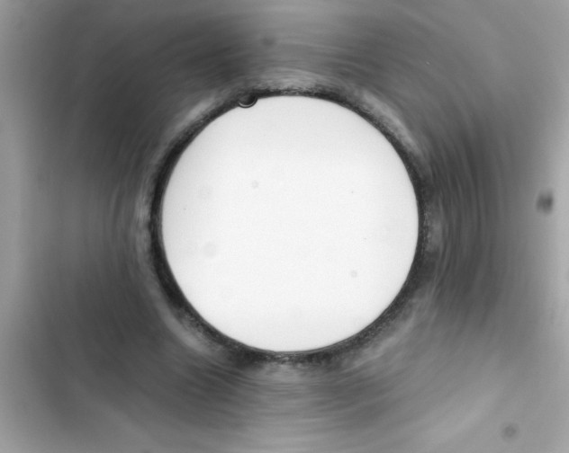 X0000103130538200809191943