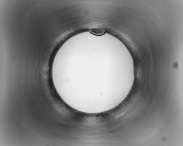 X0000103130540200809191943