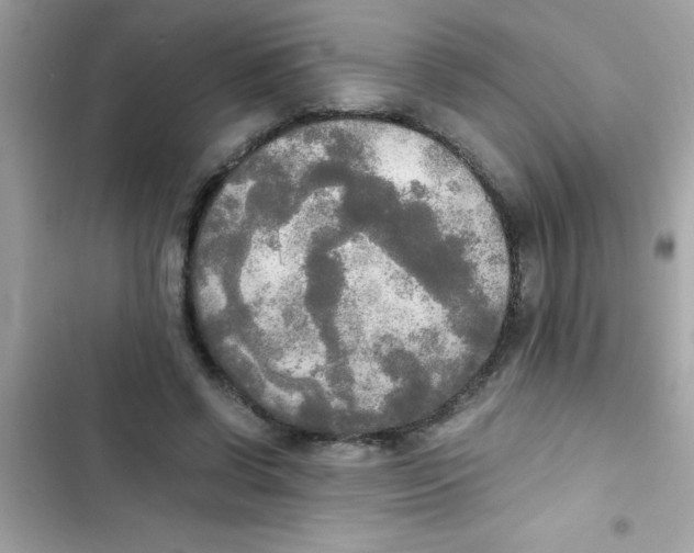 X0000103130542200809191943