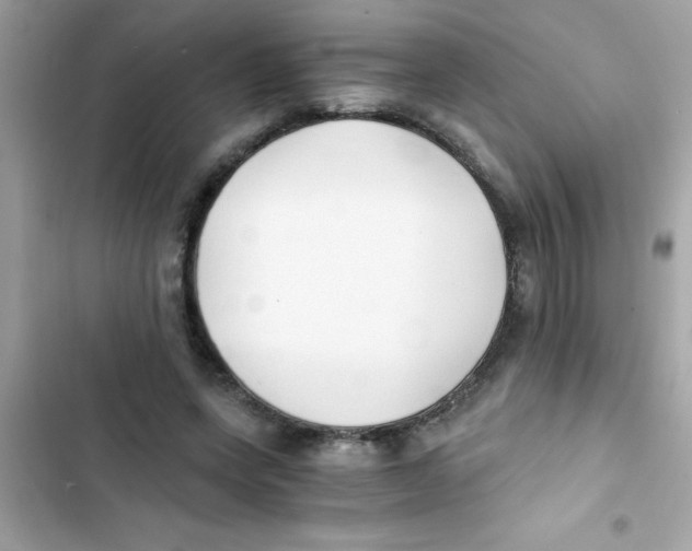 X0000103130543200809191943