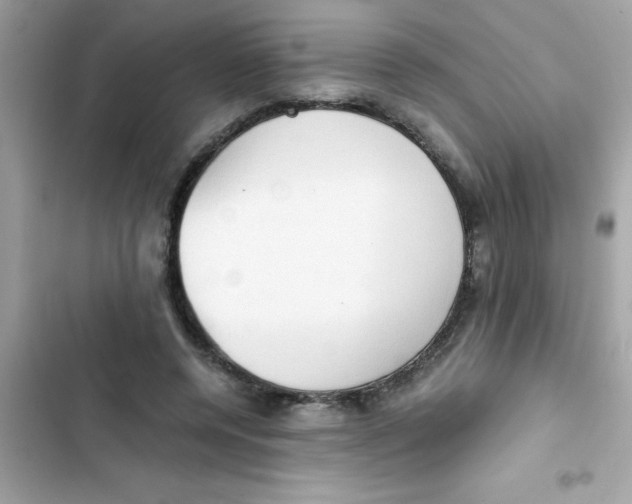 X0000103130544200809191943