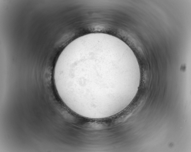 X0000103130545200809191943