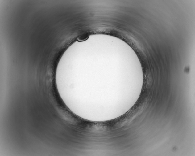 X0000103130546200809191944