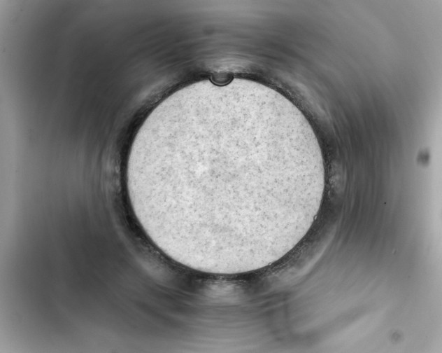 X0000103130547200809191944