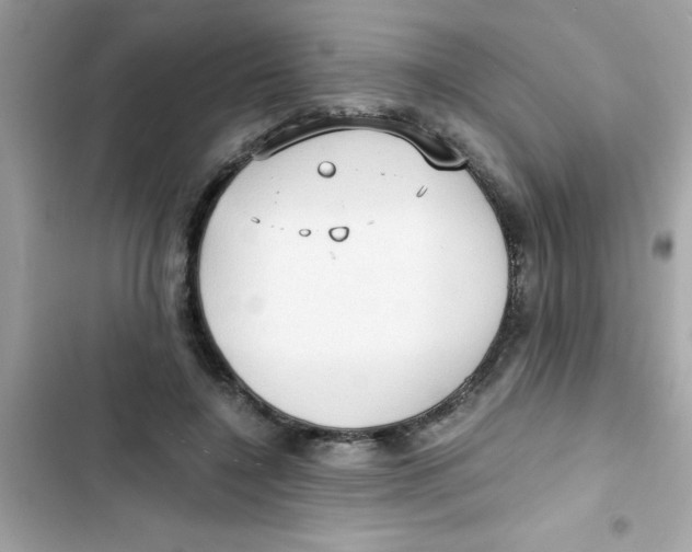 X0000103130548200809191944