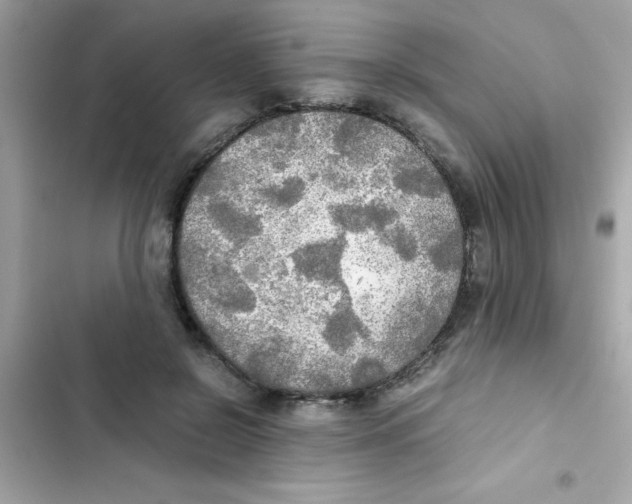 X0000103130550200809191944