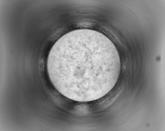 X0000103130551200809191944