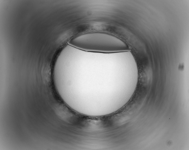 X0000103130552200809191944