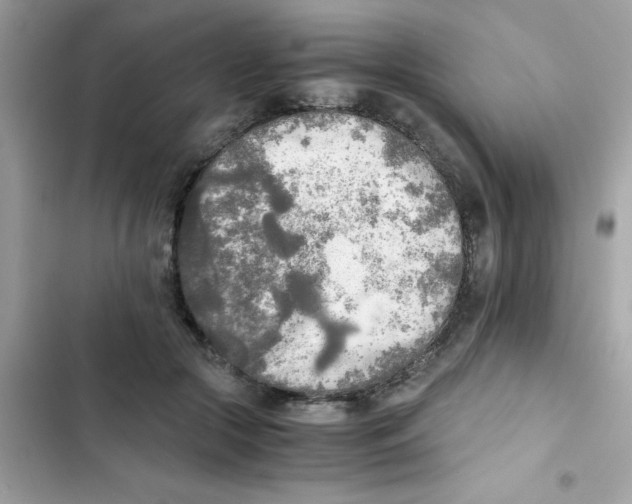 X0000103130553200809191944