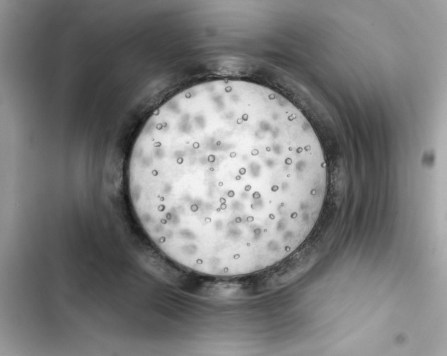 X0000103130554200809191944