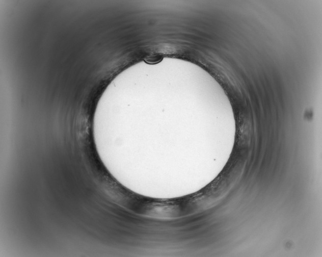 X0000103130555200809191944