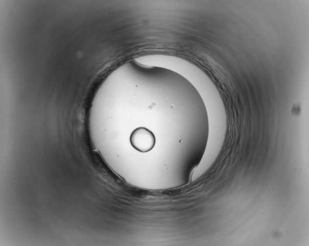 X0000103130556200809191944
