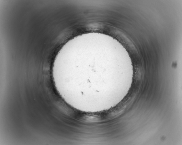 X0000103130557200809191944