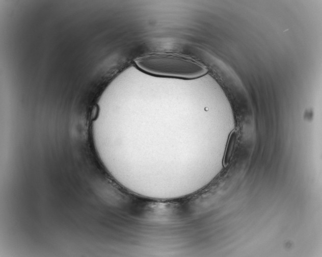 X0000103130558200809191944