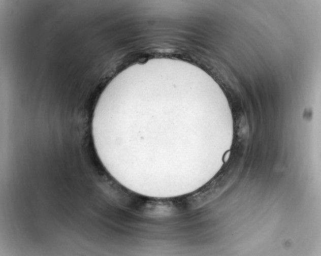 X0000103130559200809191944