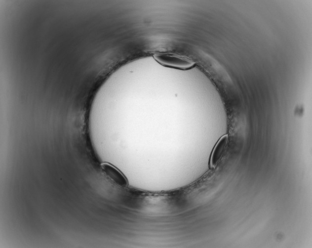X0000103130560200809191944