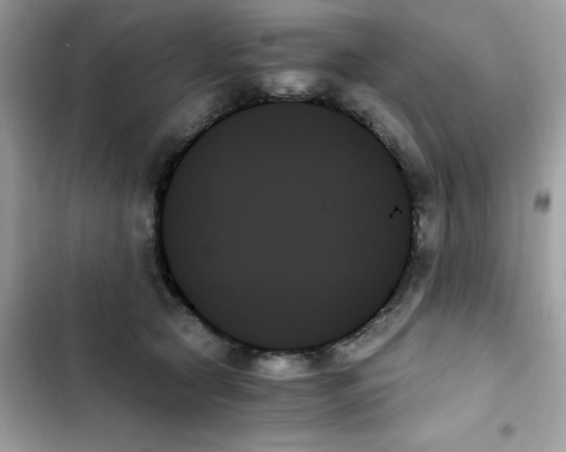 X0000103130561200809191944