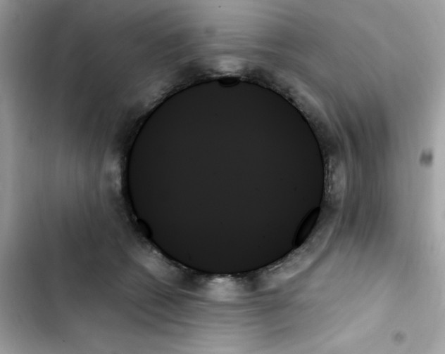 X0000103130562200809191944