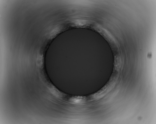 X0000103130563200809191944