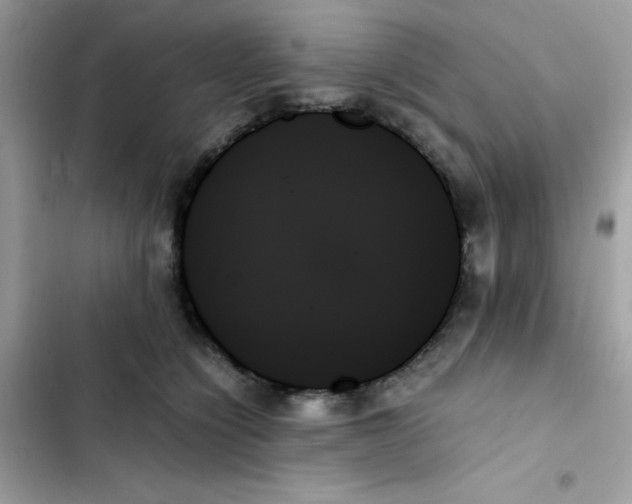 X0000103130564200809191944