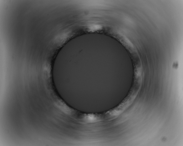 X0000103130565200809191944