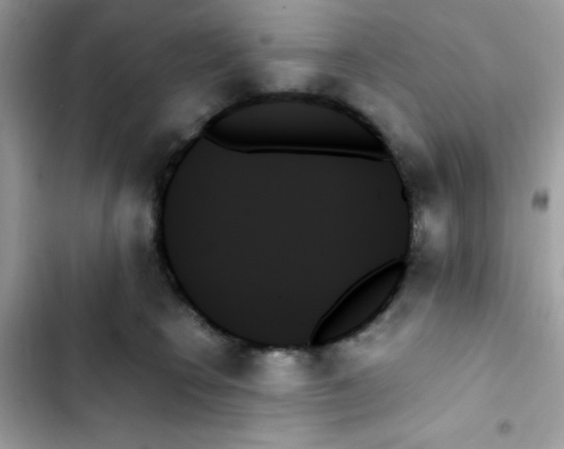 X0000103130566200809191944