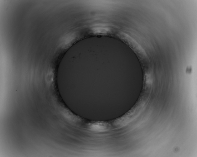 X0000103130567200809191944