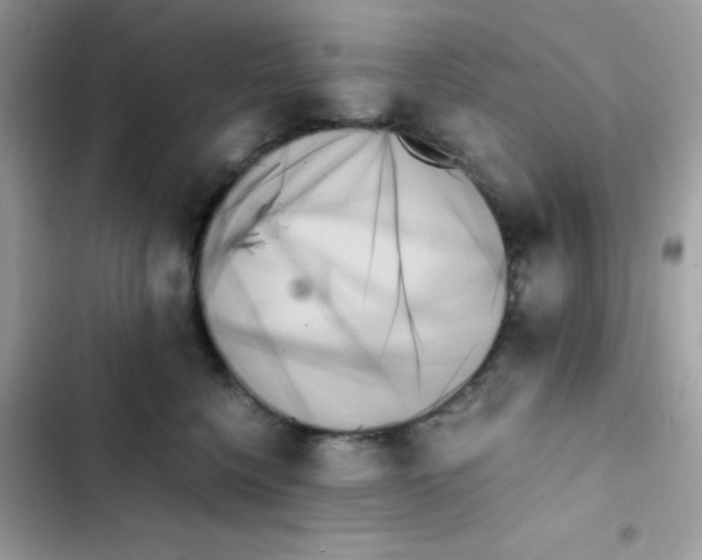 X0000103130568200809191944