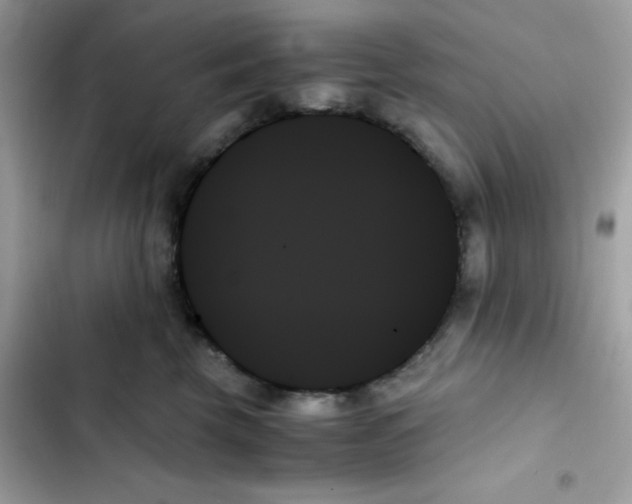 X0000103130569200809191944