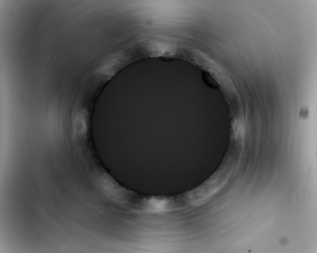 X0000103130570200809191944
