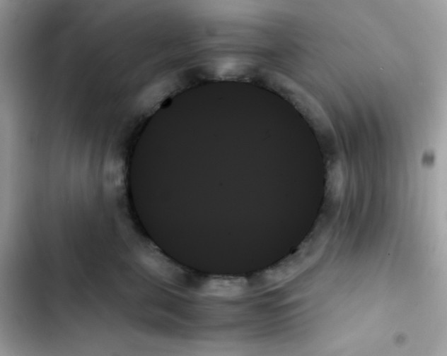 X0000103130571200809191944