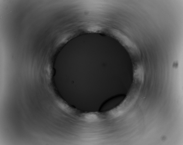 X0000103130572200809191944