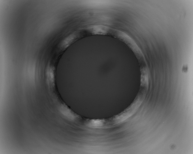 X0000103130573200809191944