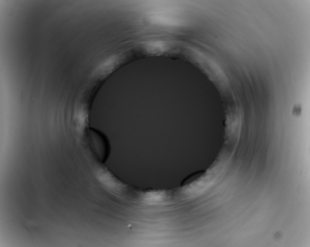 X0000103130574200809191944