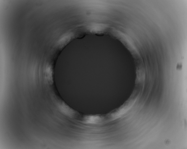 X0000103130575200809191944
