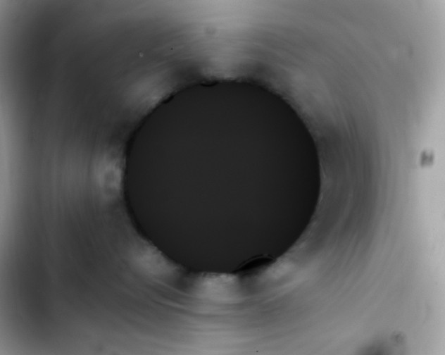 X0000103130576200809191944