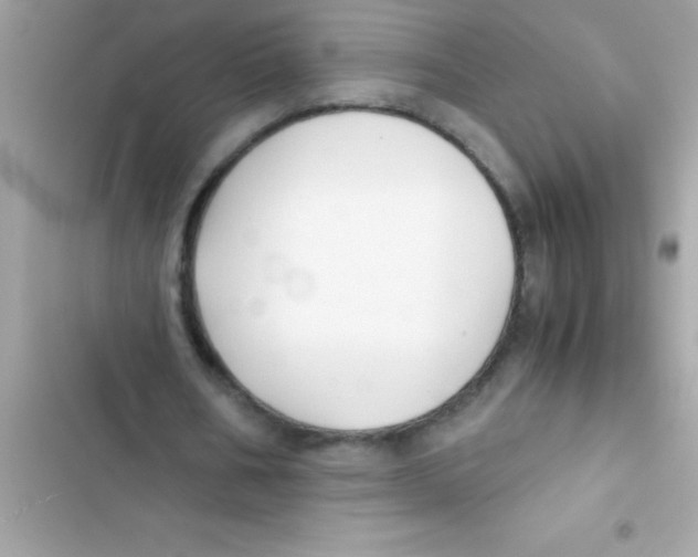 X0000103130578200809191943