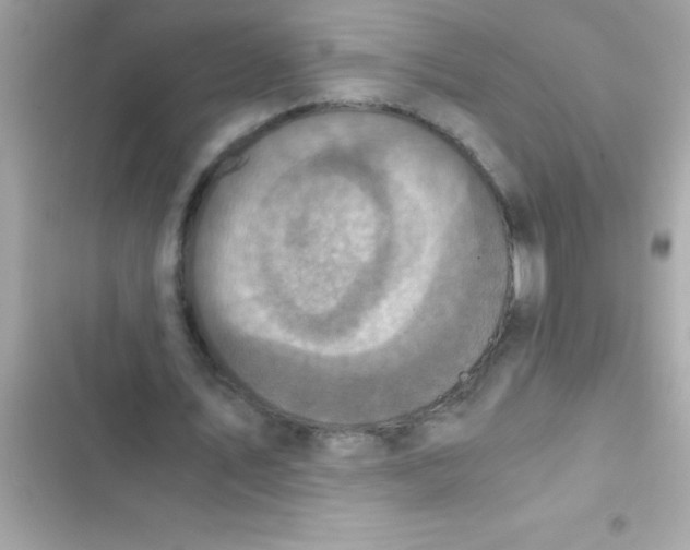 X0000103130579200809191943