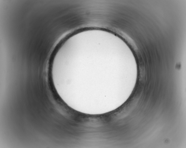 X0000103130580200809191943