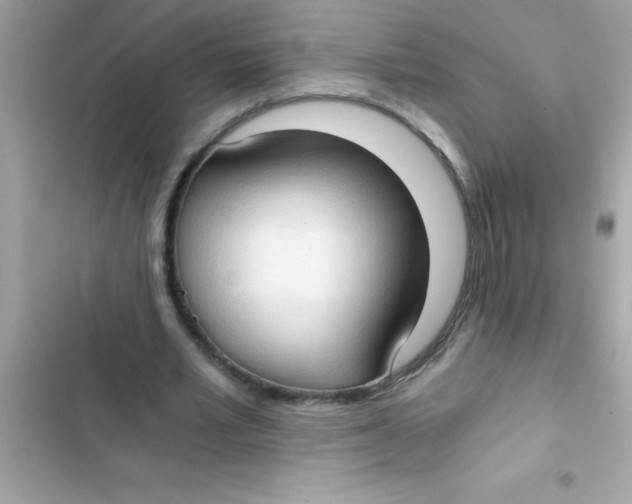 X0000103130581200809191943