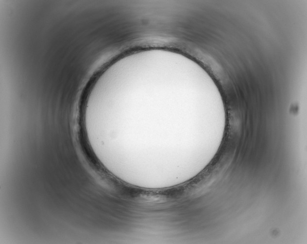 X0000103130582200809191943