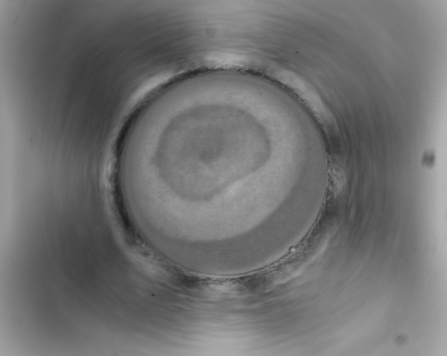 X0000103130583200809191943